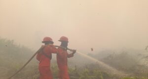 Singapura Terbitkan Notis Pencegahan untuk 7 Perusahaan Indonesia Terkait Kabut Asap Lintas Batas