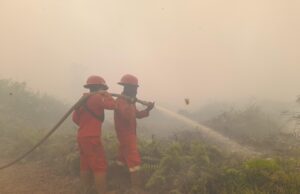 Singapura Terbitkan Notis Pencegahan untuk 7 Perusahaan Indonesia Terkait Kabut Asap Lintas Batas