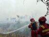 Karhutla Sumsel Picu Kabut Asap Lintas Negara, Siapa Saja Tujuh Perusahaan Pemegang Konsesi?