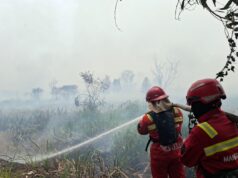 Karhutla Sumsel Picu Kabut Asap Lintas Negara, Siapa Saja Tujuh Perusahaan Pemegang Konsesi?