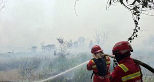 Karhutla Sumsel Picu Kabut Asap Lintas Negara, Siapa Saja Tujuh Perusahaan Pemegang Konsesi?