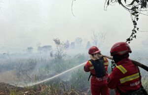 Karhutla Sumsel Picu Kabut Asap Lintas Negara, Siapa Saja Tujuh Perusahaan Pemegang Konsesi?