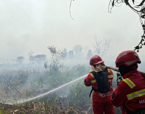 Karhutla Sumsel Picu Kabut Asap Lintas Negara, Siapa Saja Tujuh Perusahaan Pemegang Konsesi?