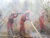 Tiga Perusahaan Grup APP Menanti Putusan MA, Greenpeace Desak Pemulihan Gambut